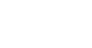 Wandel Services
