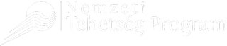 Nemzeti Tehetség Program